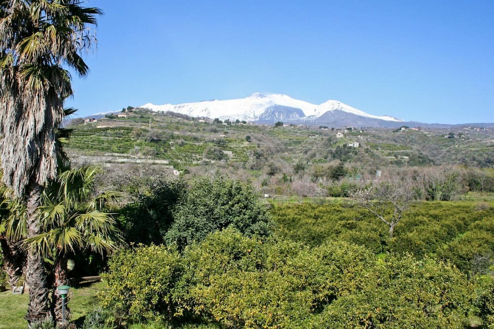Photo of Others in Macchia