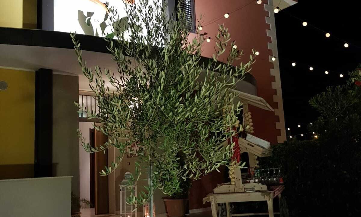 Photo of Outdoor in Citta Giardino