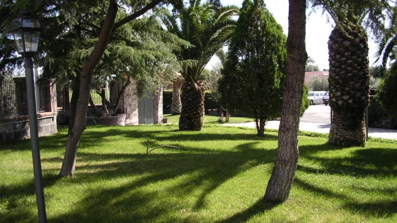 Photo of Outdoor in Motta Sant'Anastasia