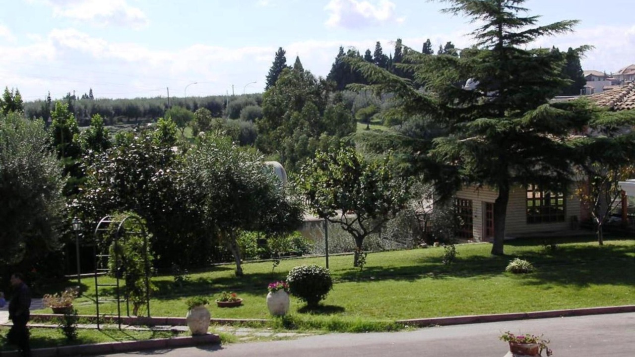 Photo of Outdoor in Motta Sant'Anastasia