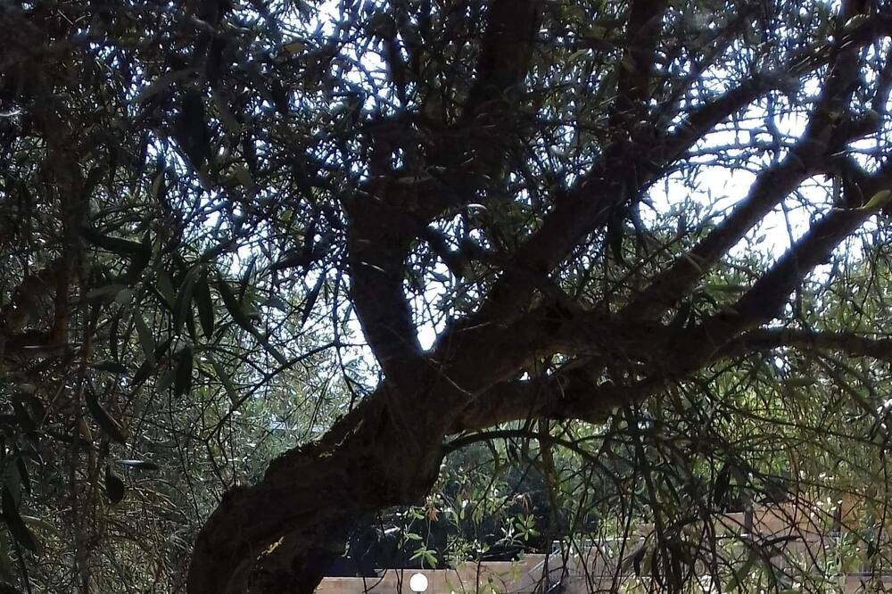 Photo of Outdoor in Calascibetta