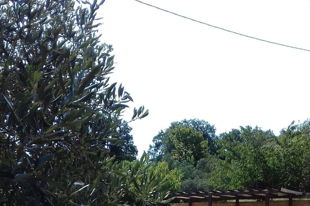 Photo of Others in Calascibetta
