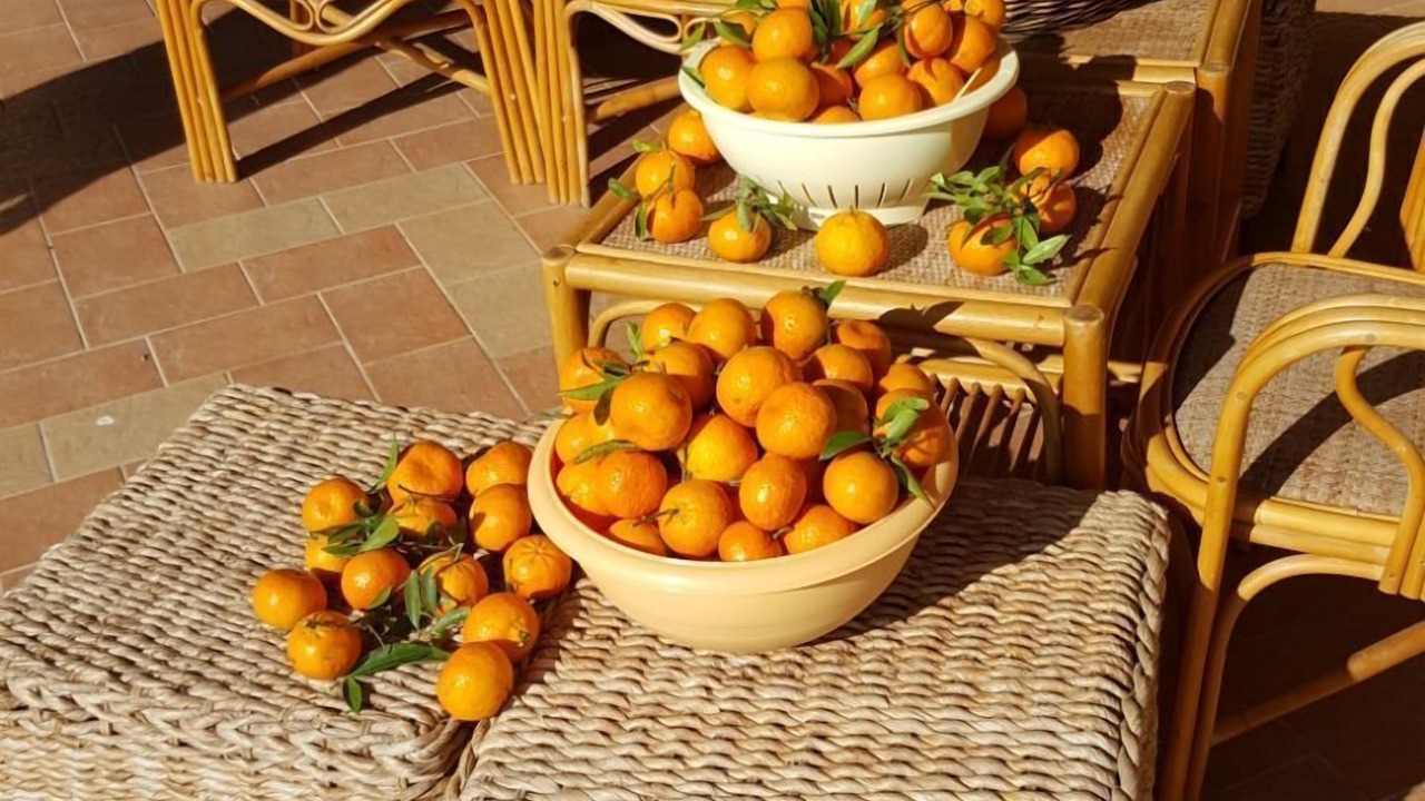 Photo of Outdoor in Scordia