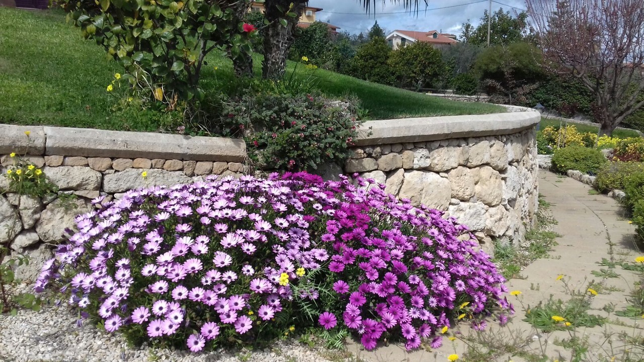 Photo of Outdoor in Scordia