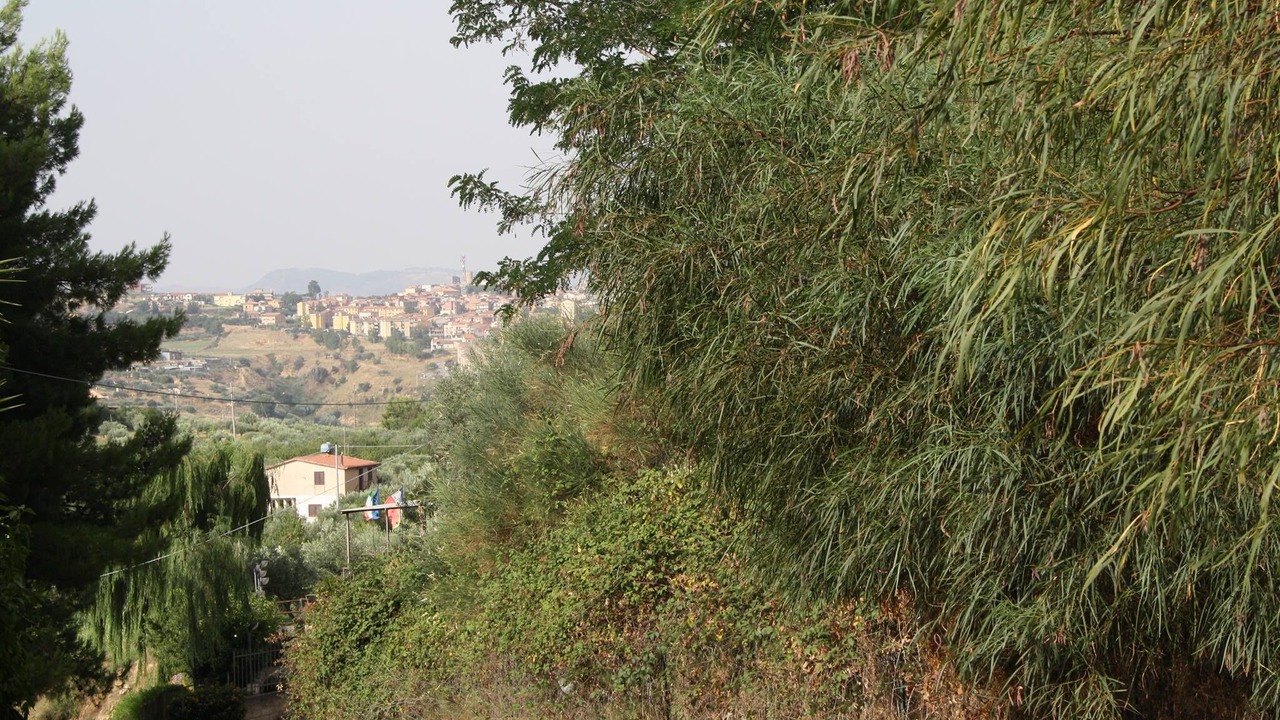 Photo of Others in Mazzarino