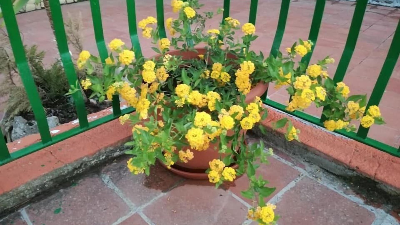 Photo of Outdoor in Mazzarino