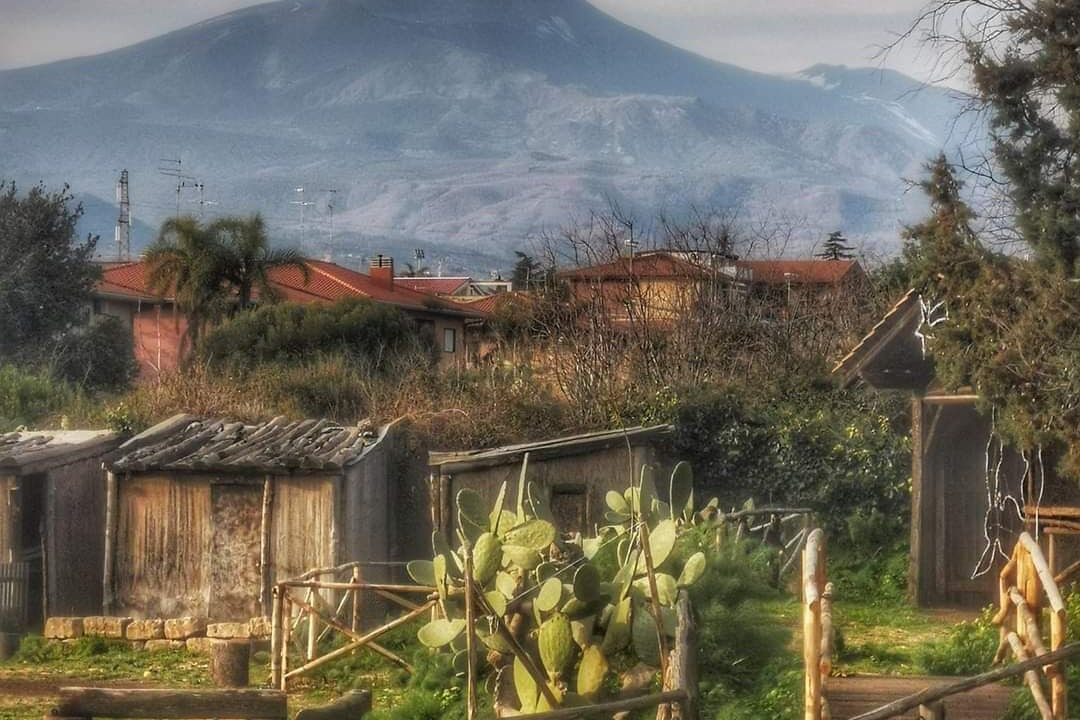 Photo of Outdoor in Pedara