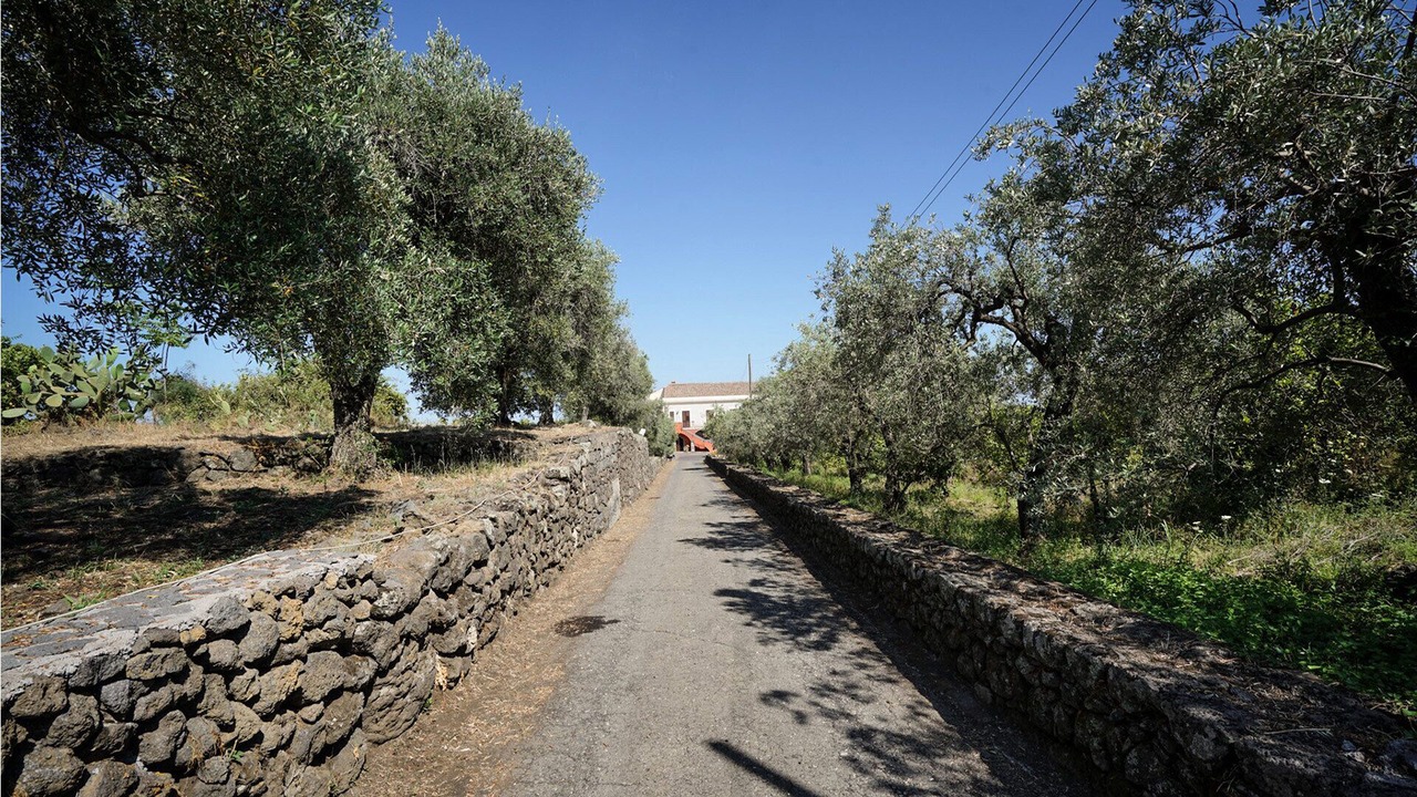 Photo of Outdoor in Santa Venerina