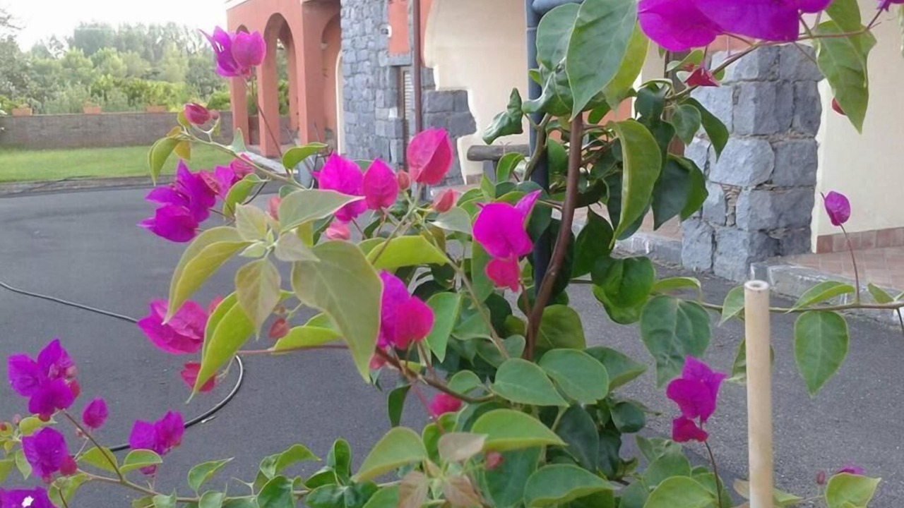 Photo of Outdoor in Santa Venerina