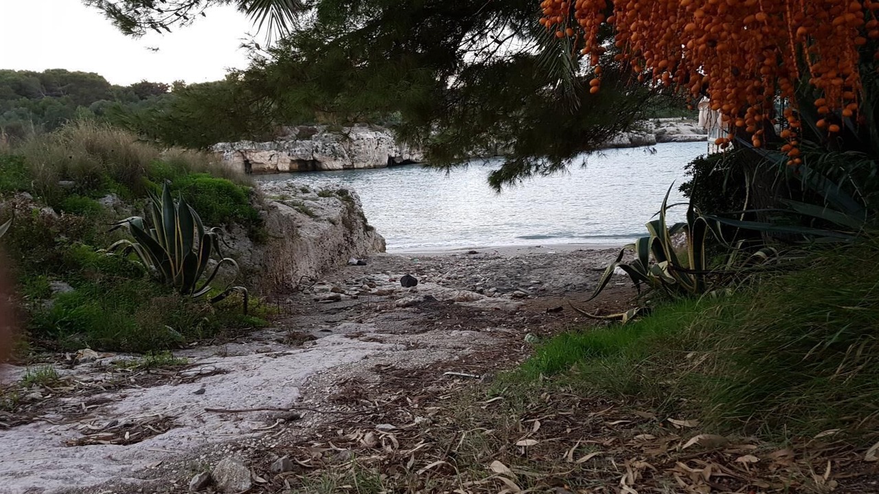 Photo of Outdoor in Brucoli