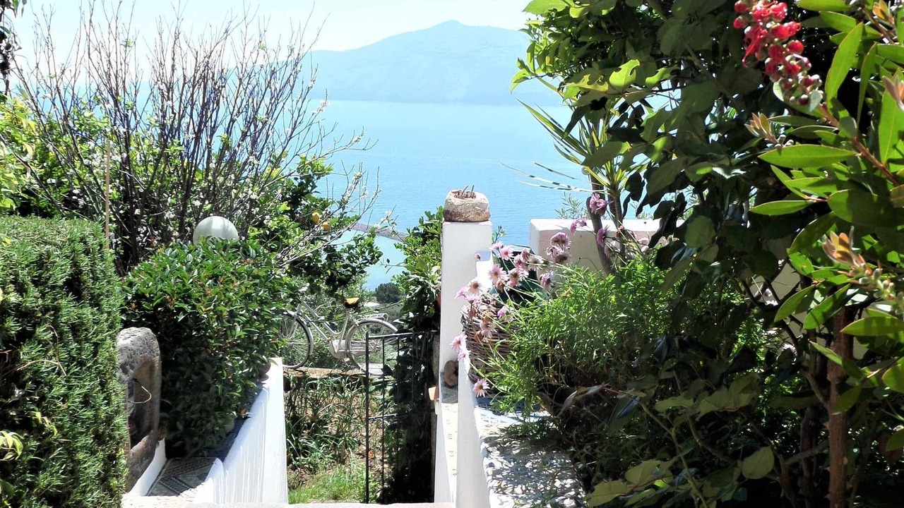 Photo of Outdoor in Lingua