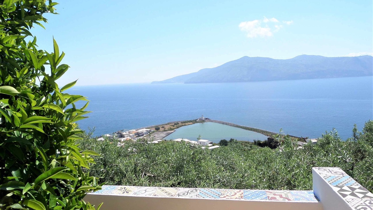 Photo of Outdoor in Lingua