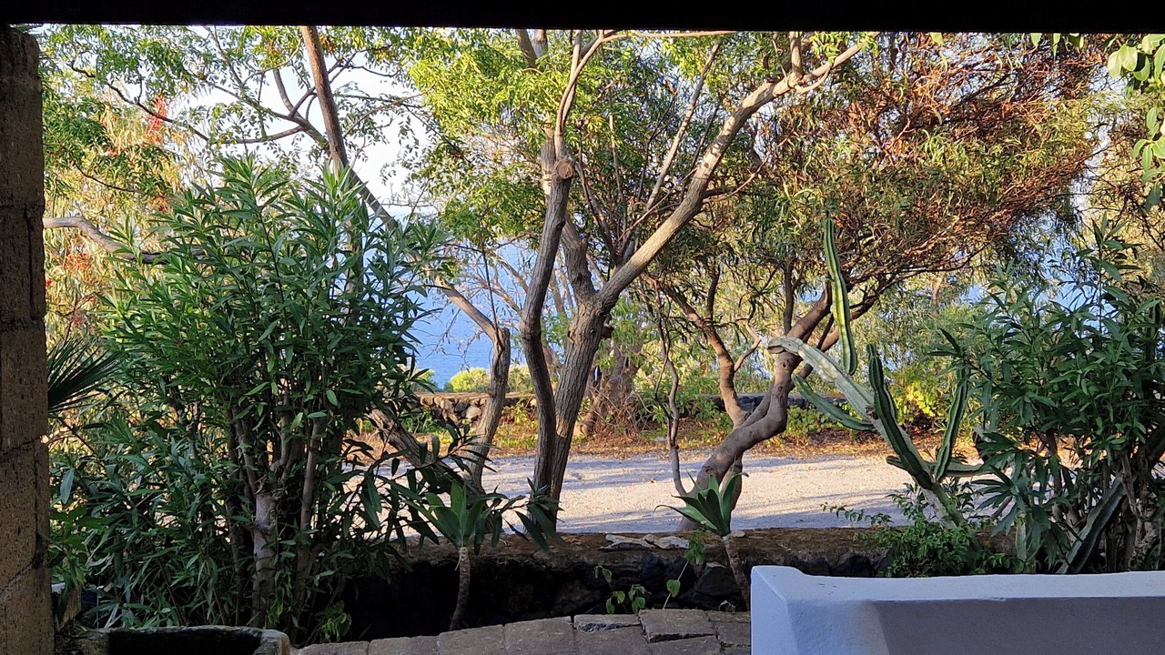 Photo of Outdoor in Kamma