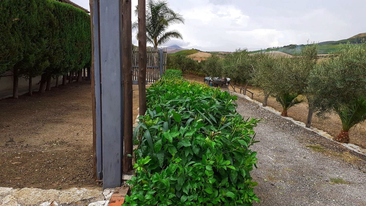 Photo of Outdoor in Monreale