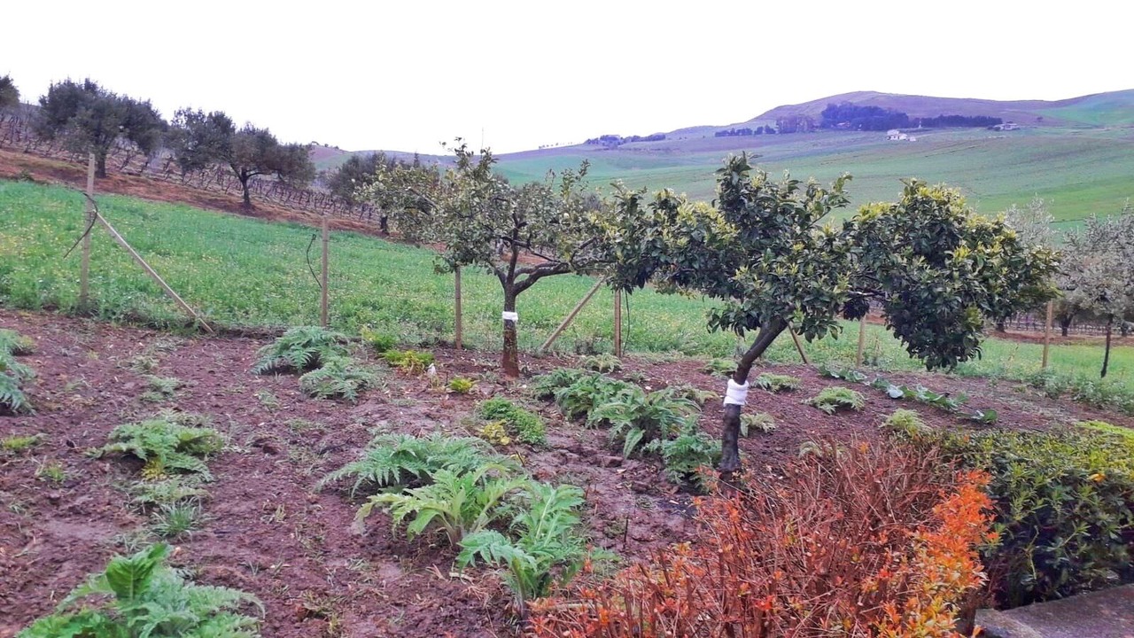 Photo of Outdoor in Monreale