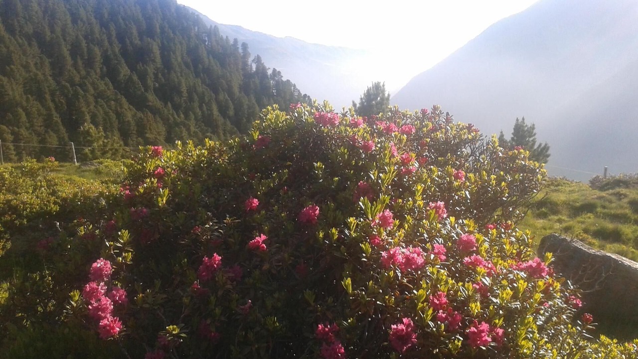 Photo of Outdoor in Gries im Sellrain