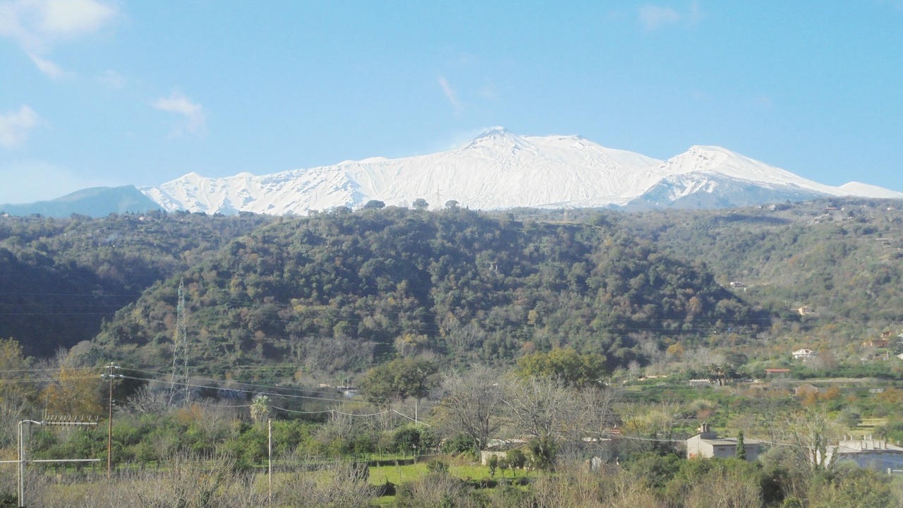 Photo of Others in Macchia