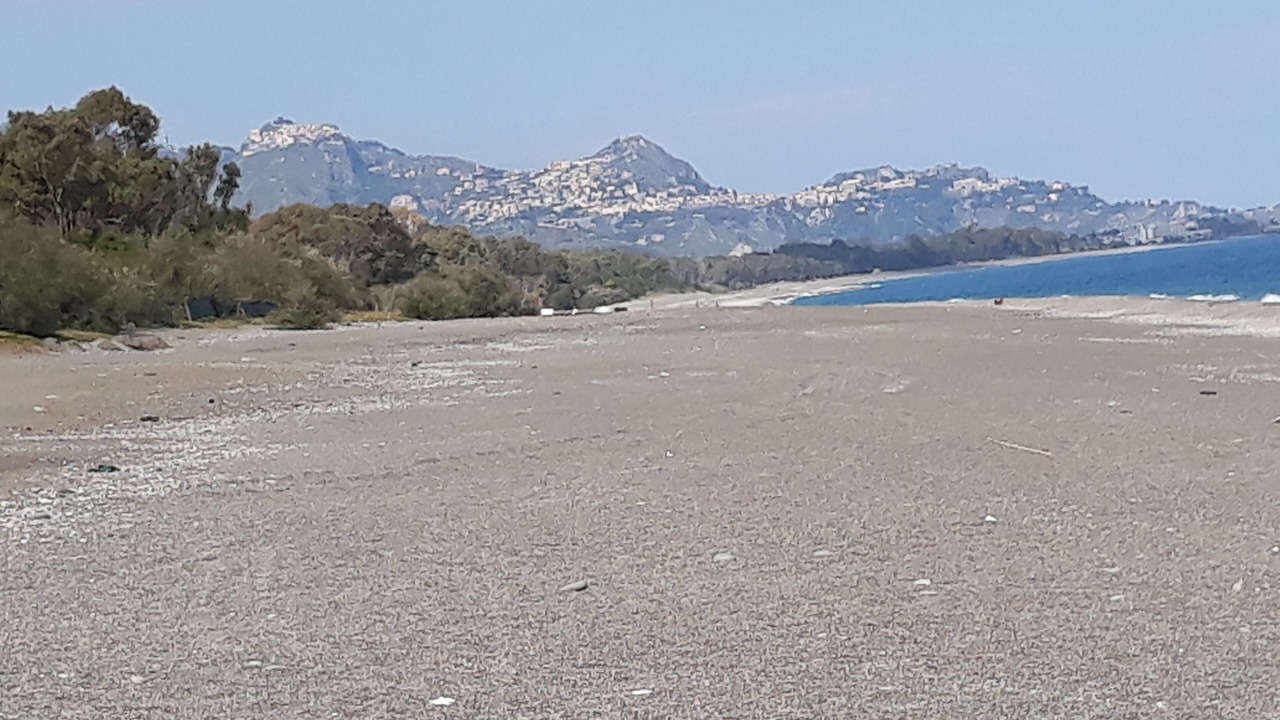 Photo of Others in Macchia