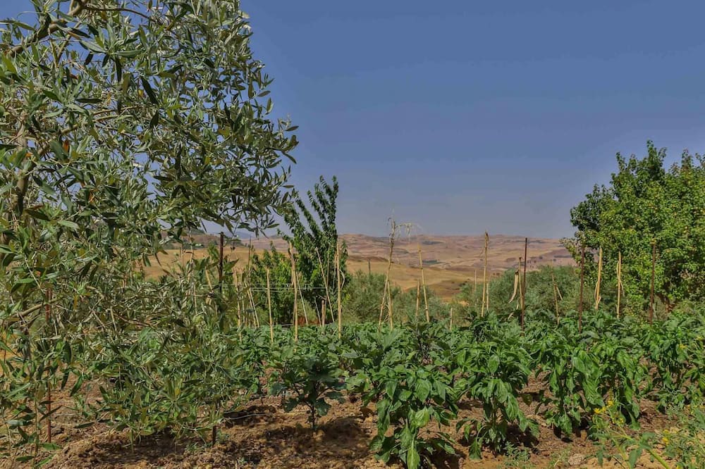 Photo of Outdoor in Alia