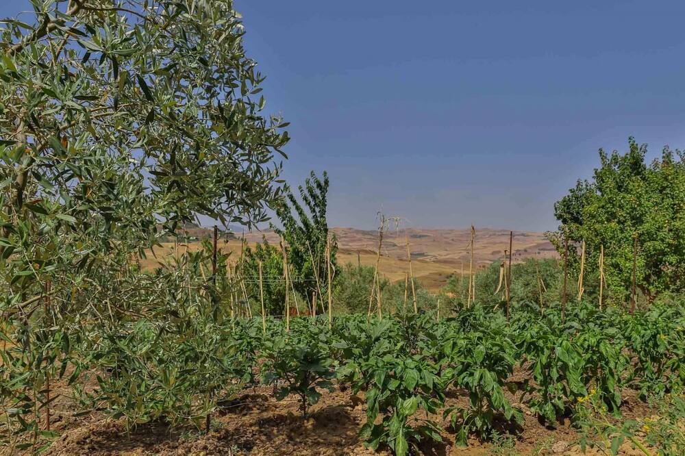 Photo of Outdoor in Alia