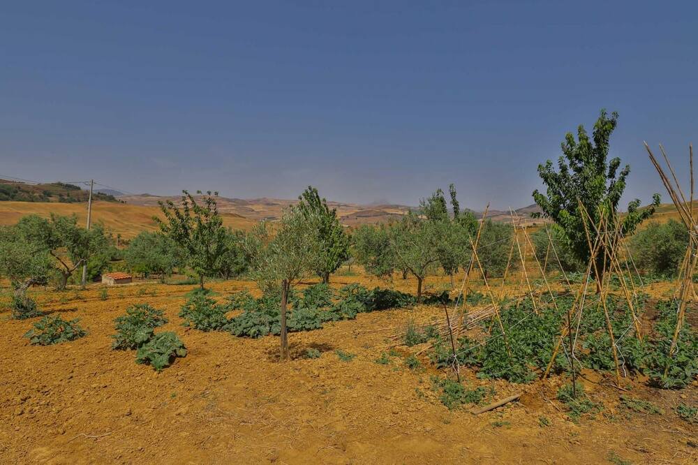 Photo of Outdoor in Alia