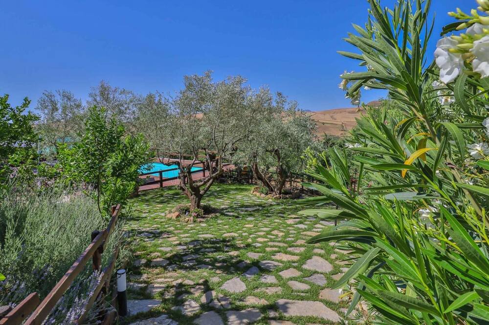 Photo of Outdoor in Alia