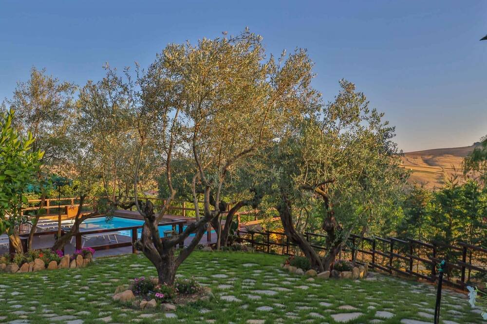 Photo of Outdoor in Alia