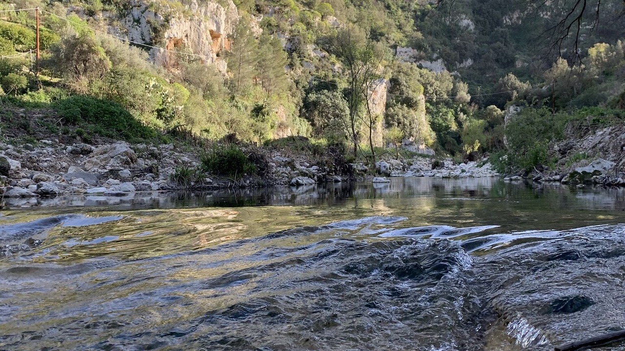 Photo of Others in Sortino