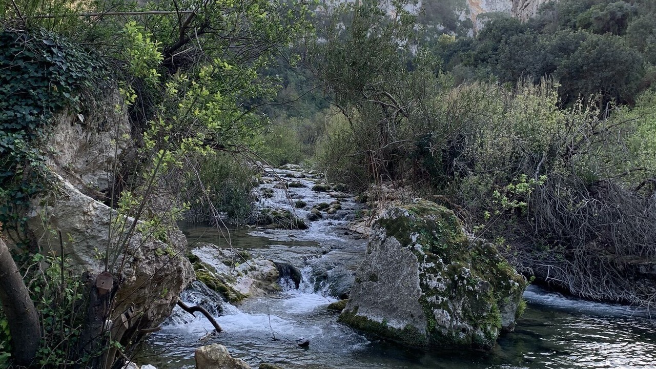 Photo of Others in Sortino