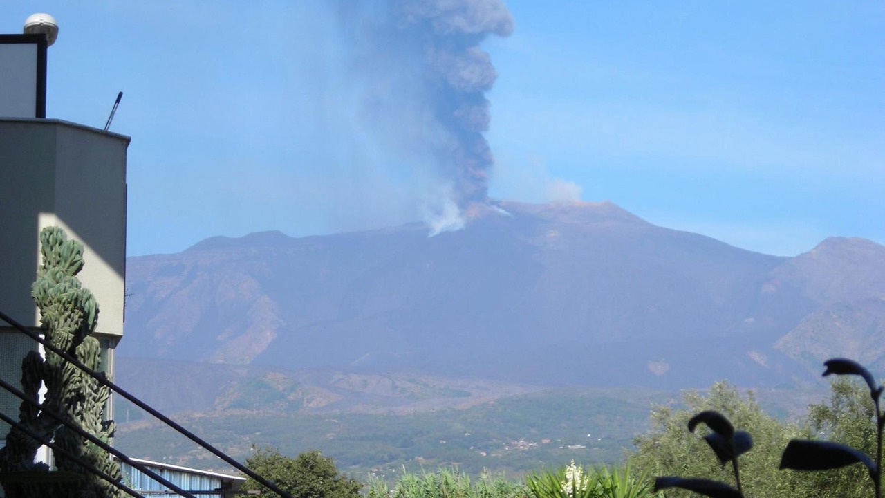 Photo of Others in Carruba