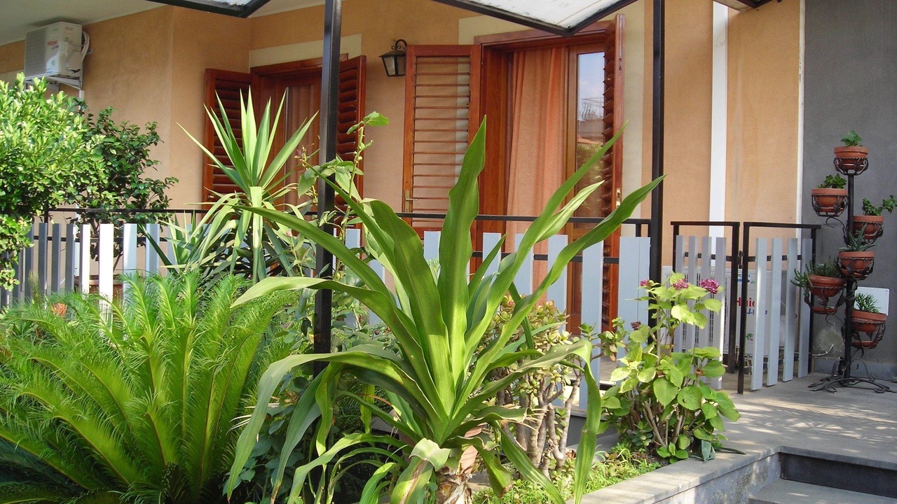 Photo of Outdoor in Carruba