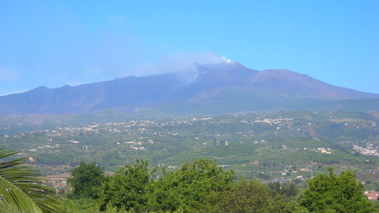 Photo of Others in Carruba