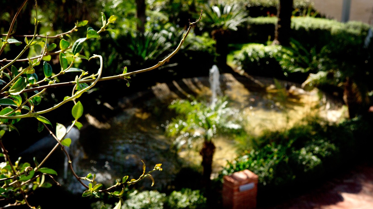 Photo of Outdoor in Partinico