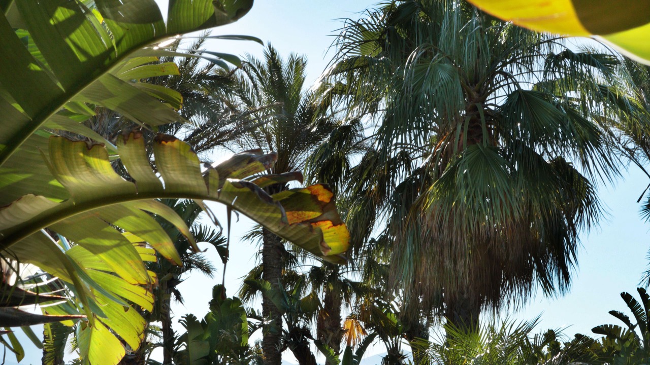 Photo of Outdoor in Partinico