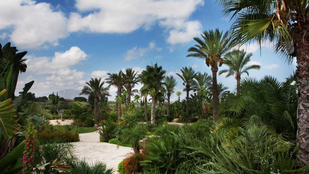 Photo of Outdoor in Partinico