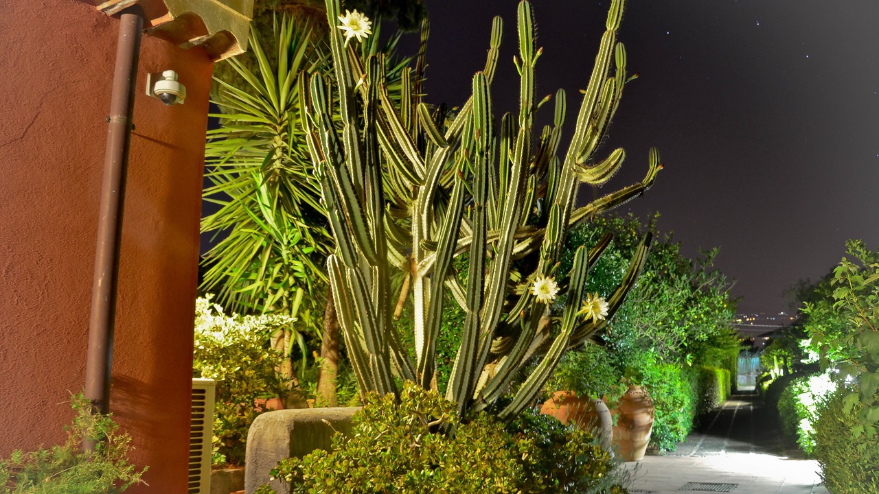 Photo of Outdoor in Archi
