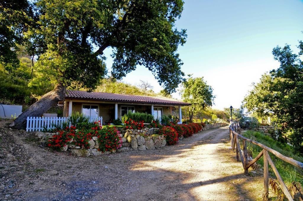 Photo of Outdoor in Amantea