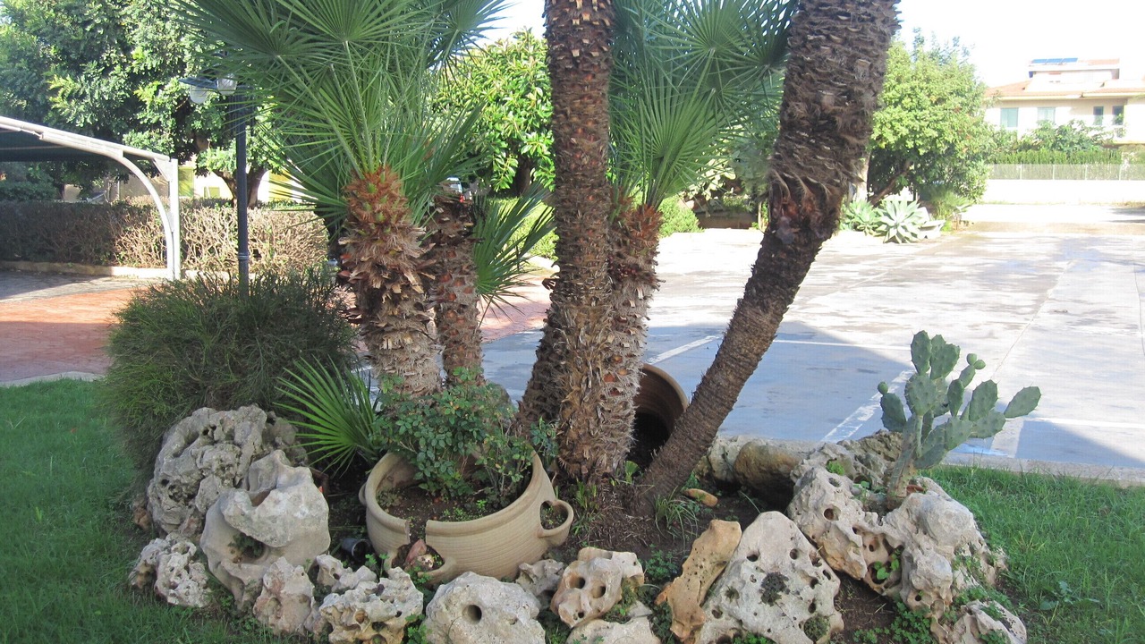 Photo of Outdoor in Bosco Pisana