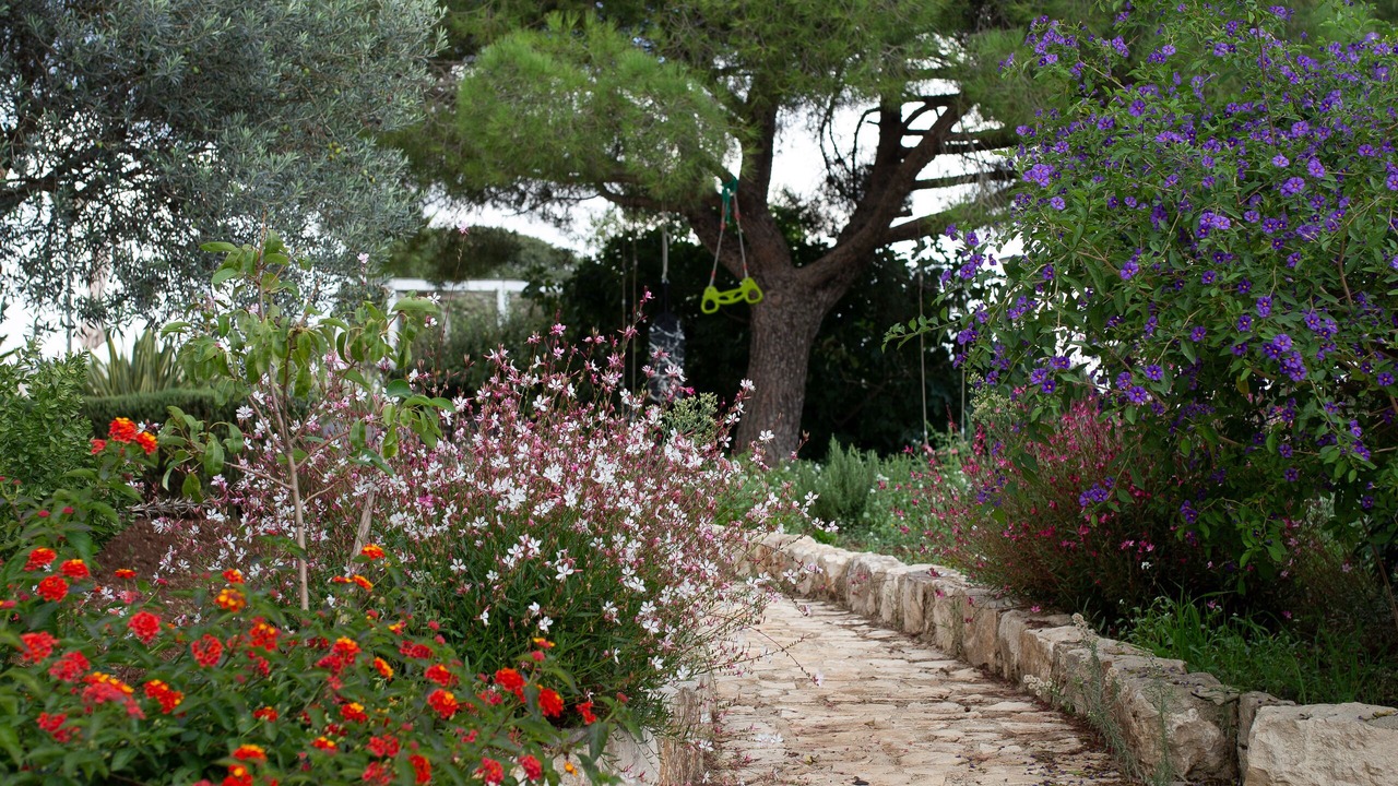 Photo of Outdoor in Puntarazzi