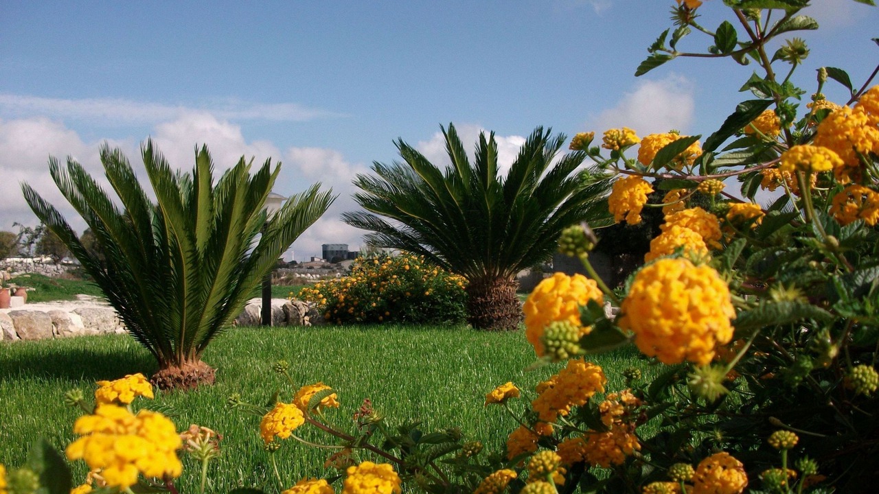 Photo of Outdoor in Puntarazzi