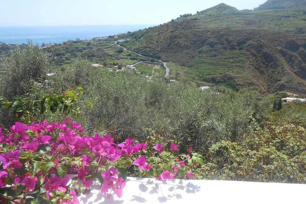 Photo of Others in Lipari