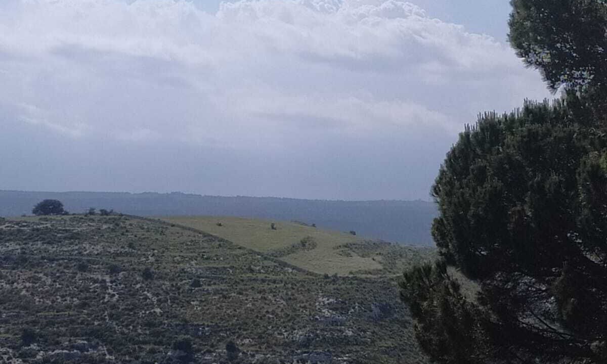 Photo of Others in Avola