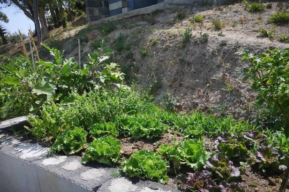 Photo of Outdoor in Santo Stefano di Camastra
