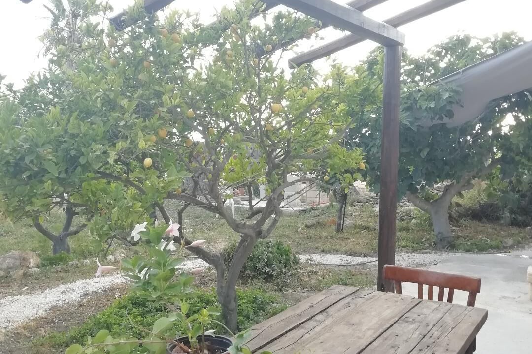 Photo of Outdoor in San Leonardo