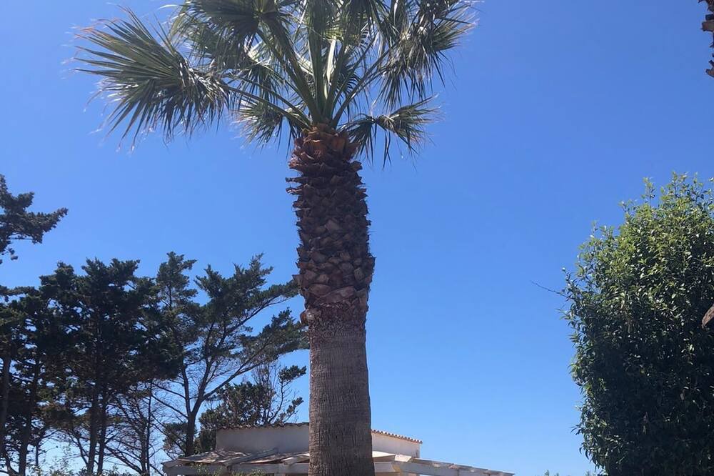 Photo of Outdoor in San Vito Lo Capo