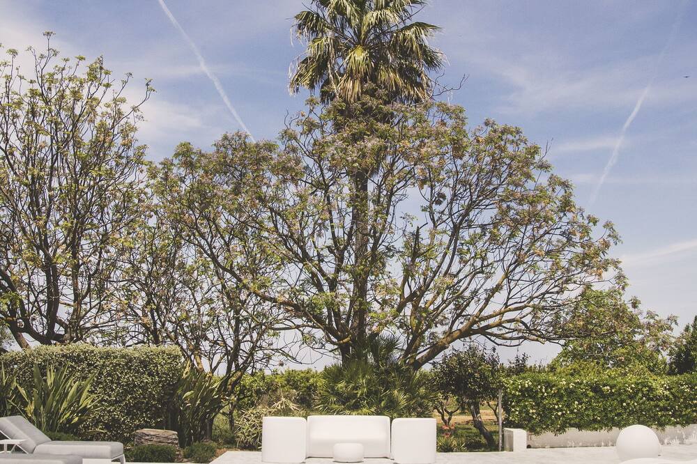 Photo of Outdoor in Partinico