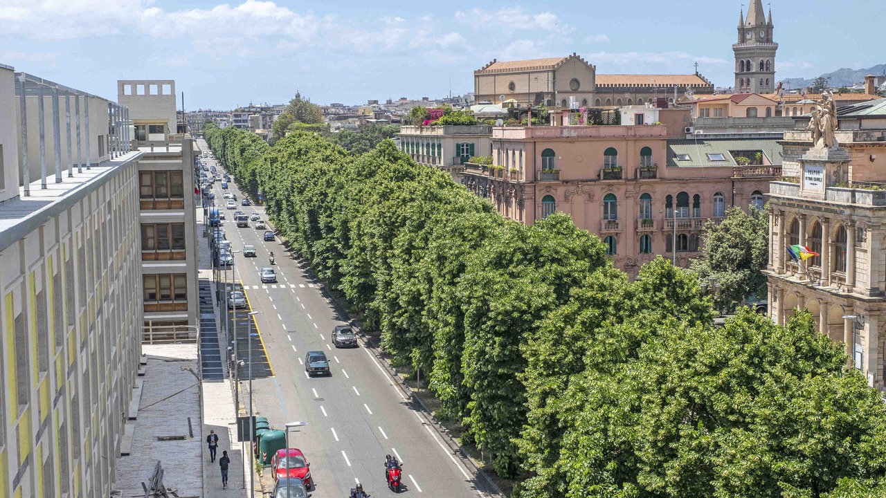 Photo of Others in Province of Messina