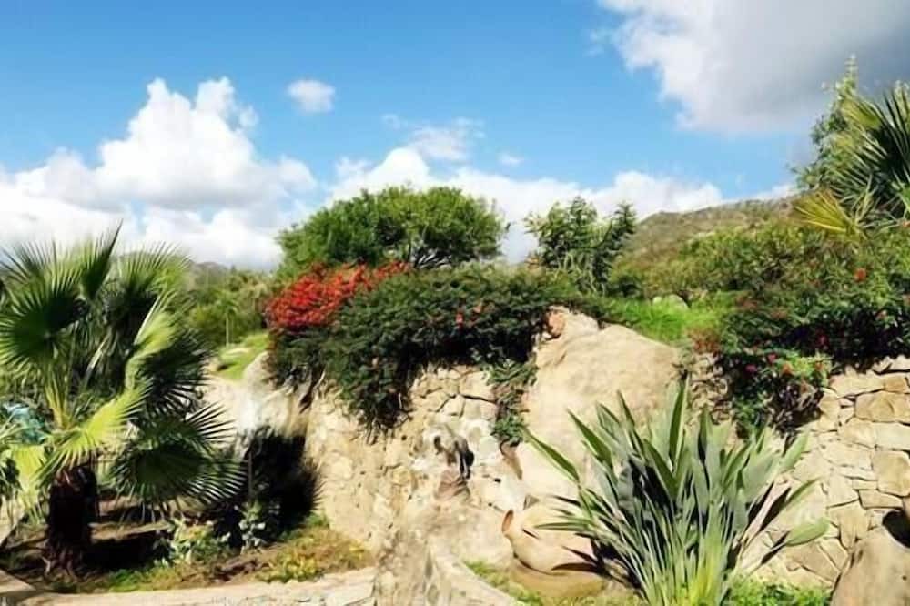 Photo of Outdoor in Mitogio