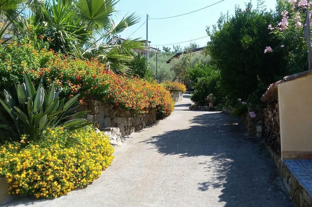 Photo of Outdoor in Mitogio