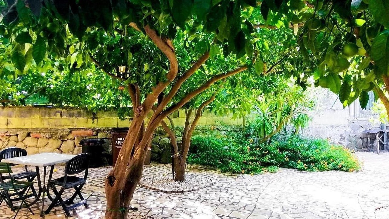 Photo of Outdoor in Mitogio